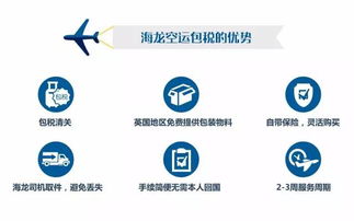 回国行李太多？高效省钱货物代理服务指南
