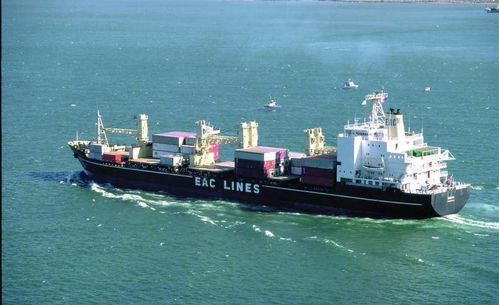 专业高效，上海易驰货运助您轻松实现国际海运